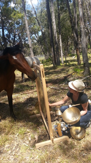 Equine Assisted Sound Therapy