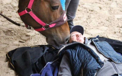 Equine Assisted Facilitator Training